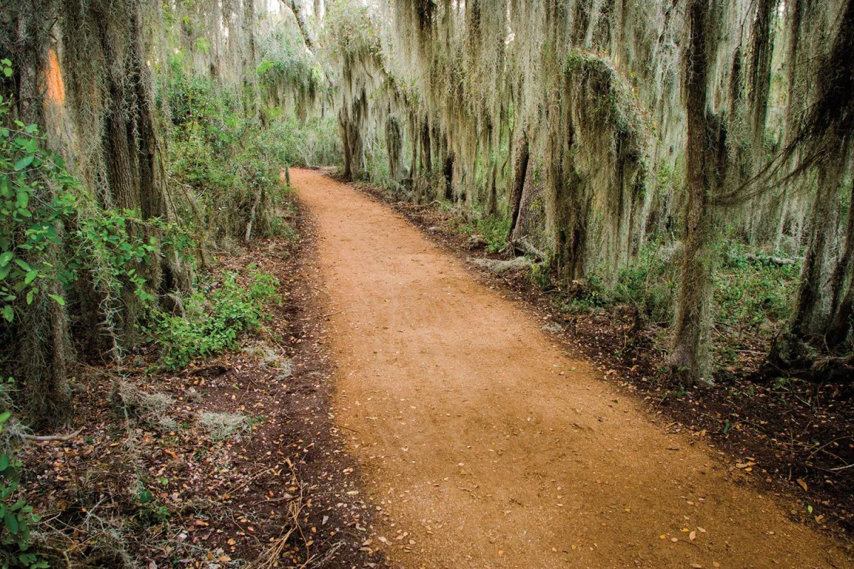 Discover Nature’s Wonderland: Santa Ana National Wildlife Refuge
