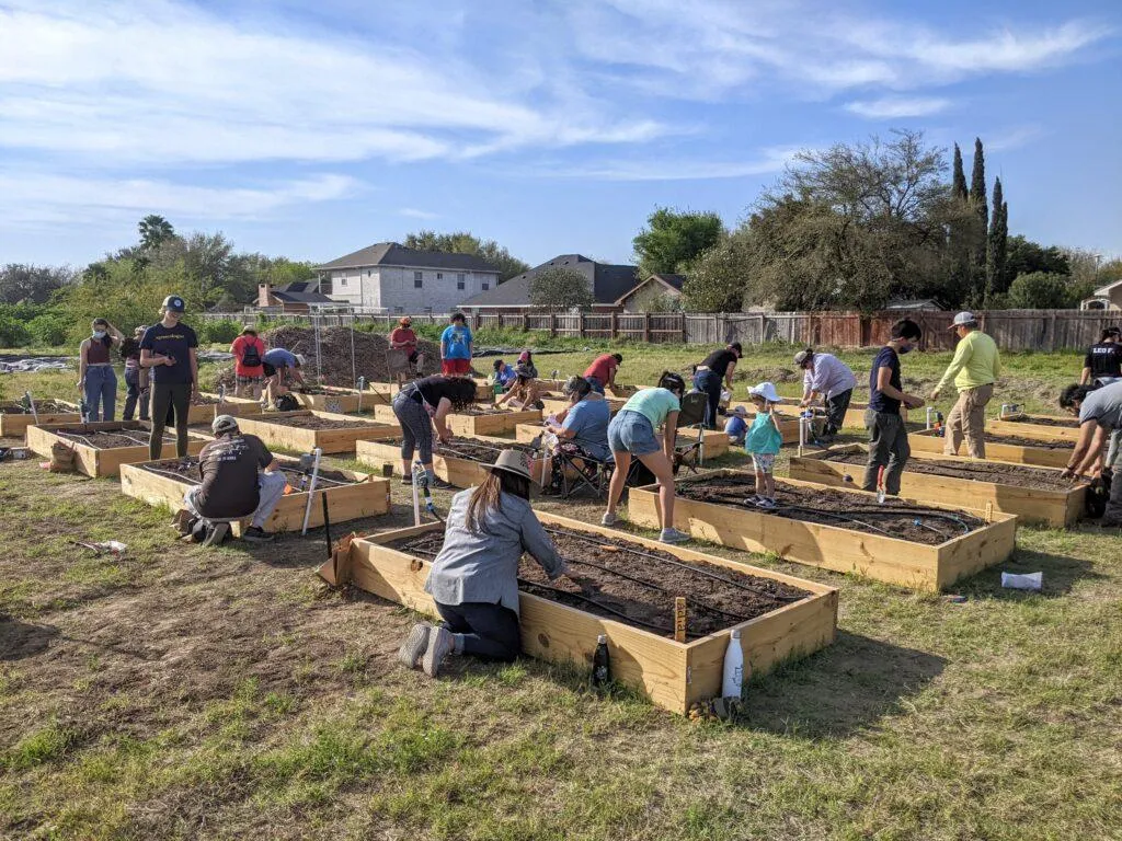 Growing Together at Edinburg Community Garden: A Local Oasis You’ve Gotta See