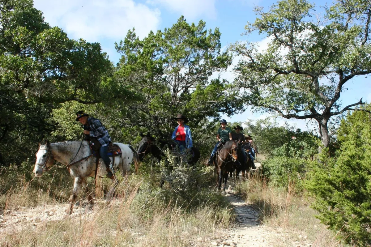  Gallop Into Adventure: Exploring Mission Equestrian Trails in Mission