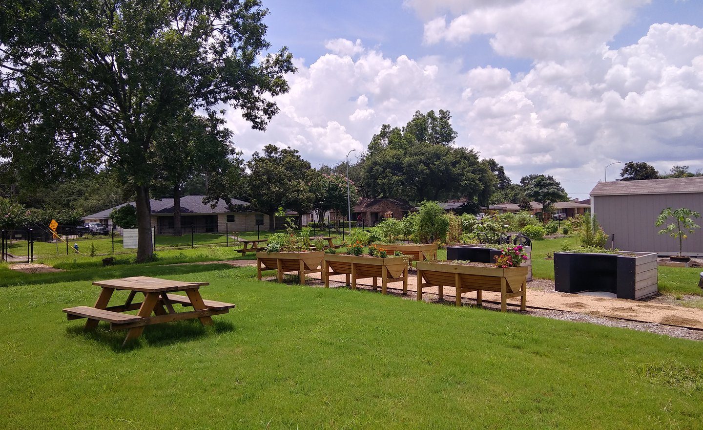  Discover the Beauty of Mission Community Garden – A Green Escape in Mission, TX | Prime Car Rental