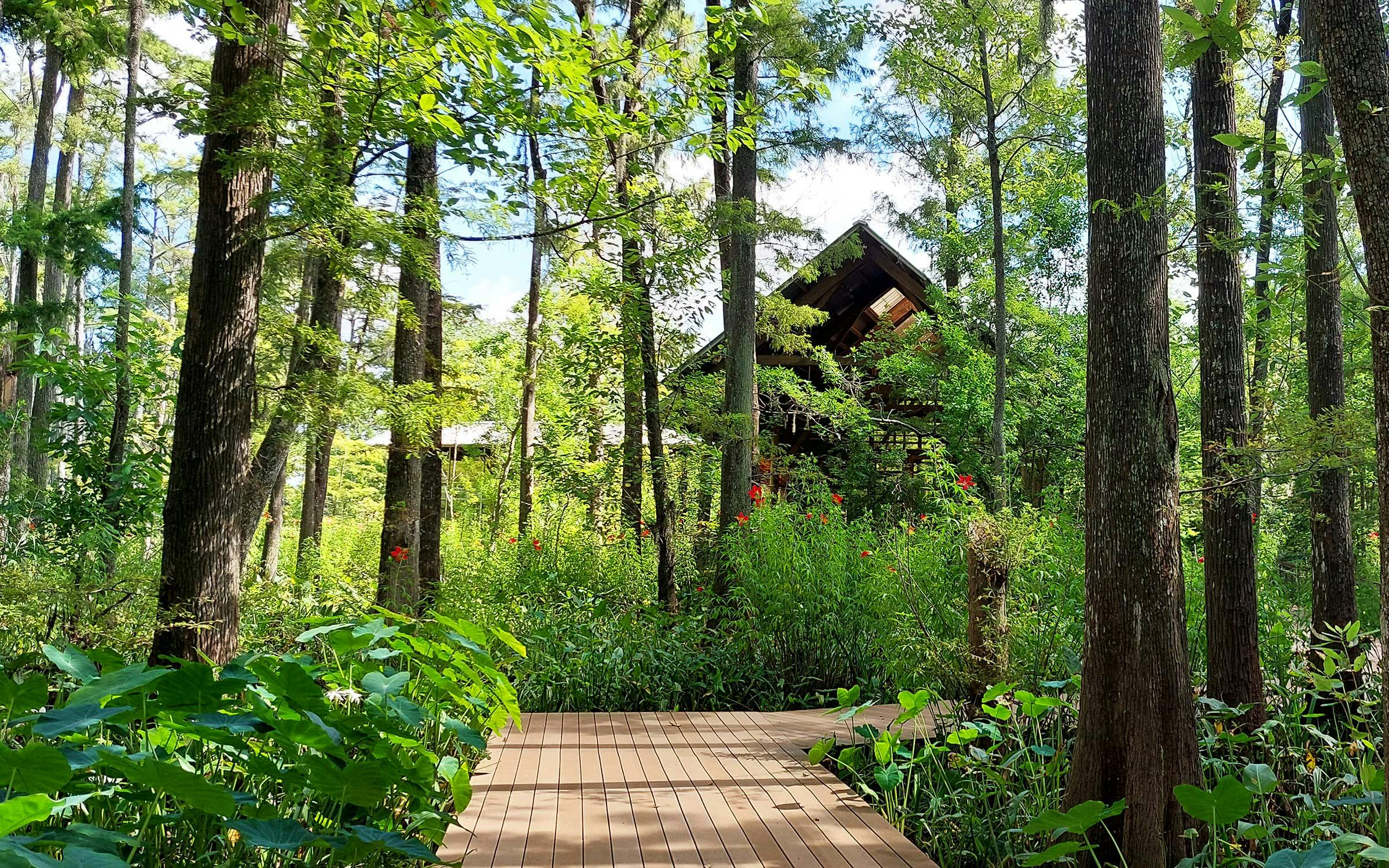 Explore Mission Botanical Gardens — Mission