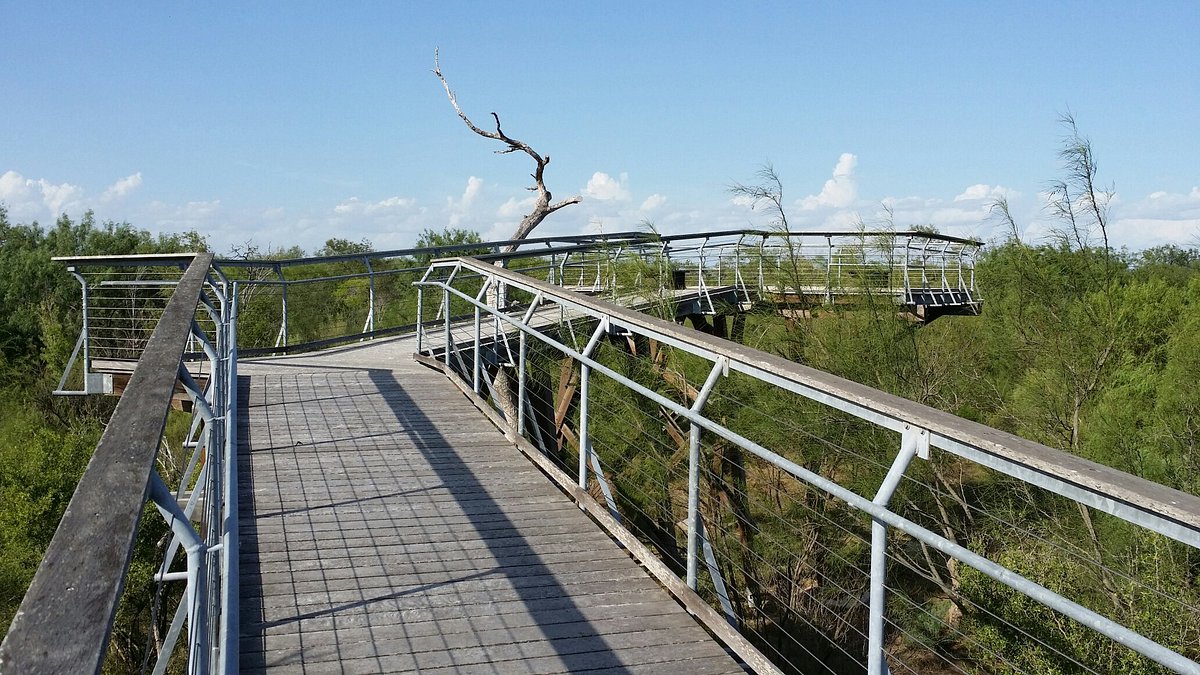  Nature, Wings, and Wild Vibes — Birding Center at Bentsen-RGV, Mission, TX 