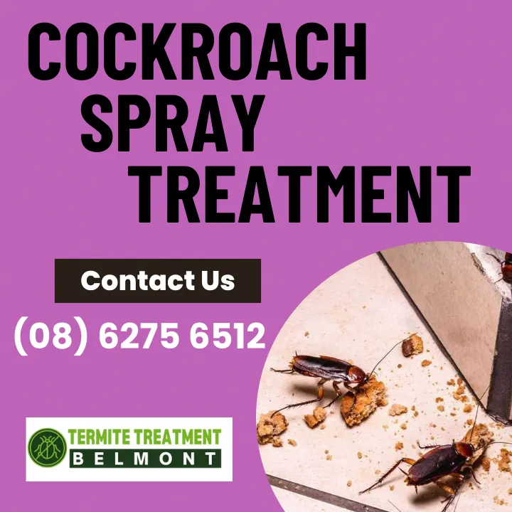 pest-control-belmont-cockroaches