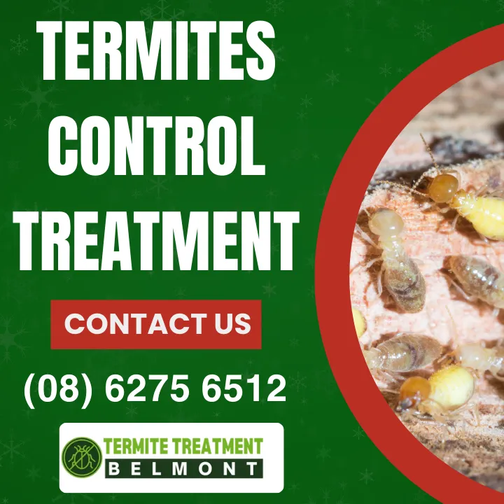 termite-inspection-services