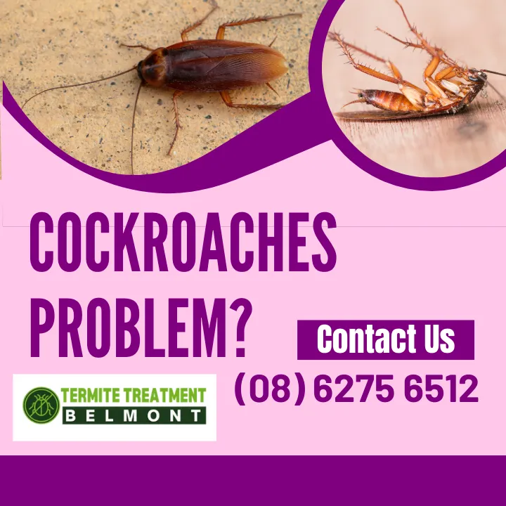 cockroach-identification-and-extermination