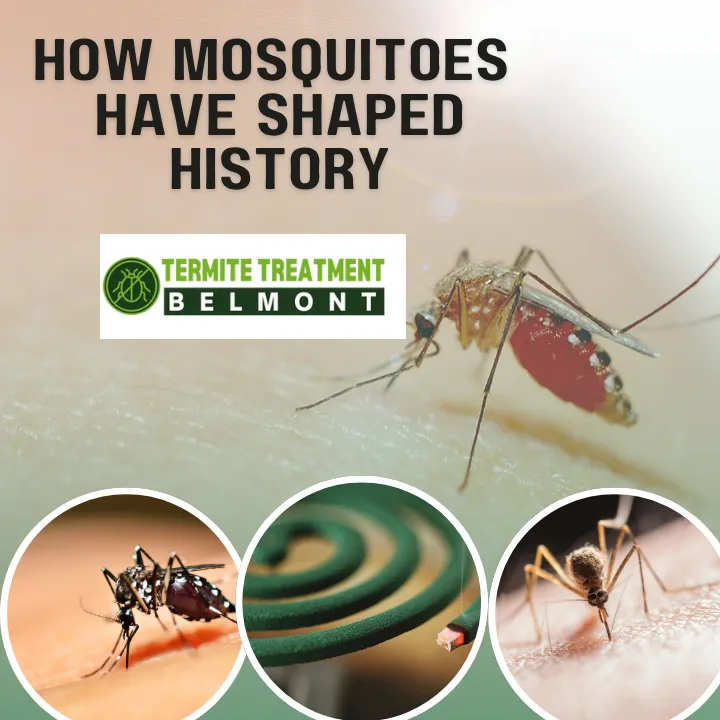 mosquitoes-historical-impact