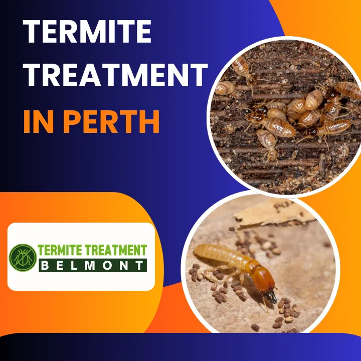 Termidor termite treatment and protective barriers being applied around a home in Perth.