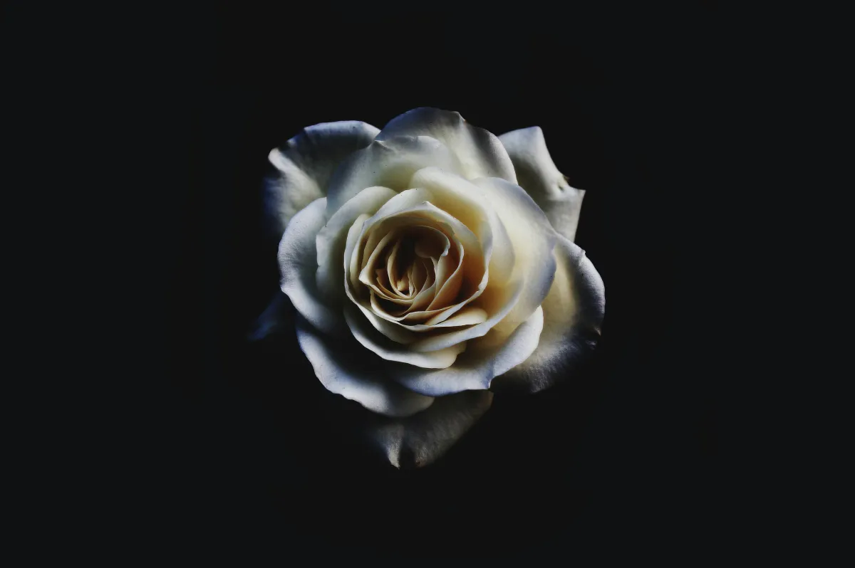 Dark Feminine Energy