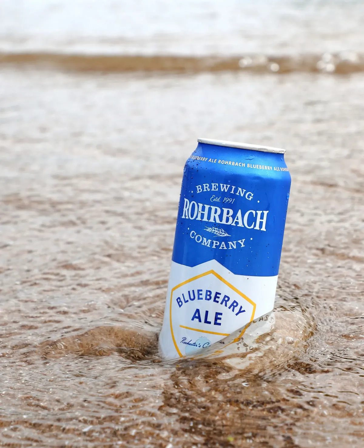 Blueberry Ale