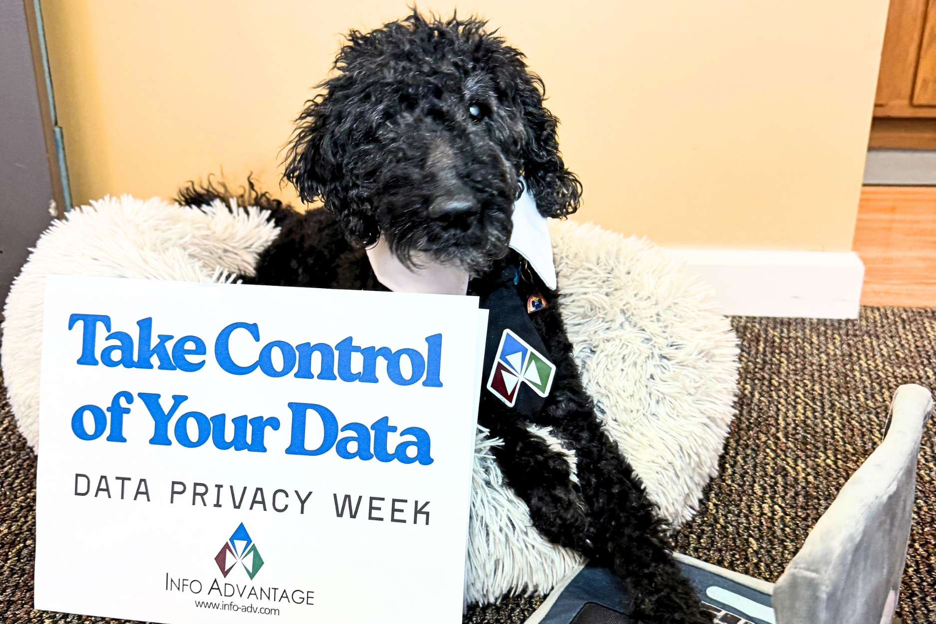Data Privacy Week