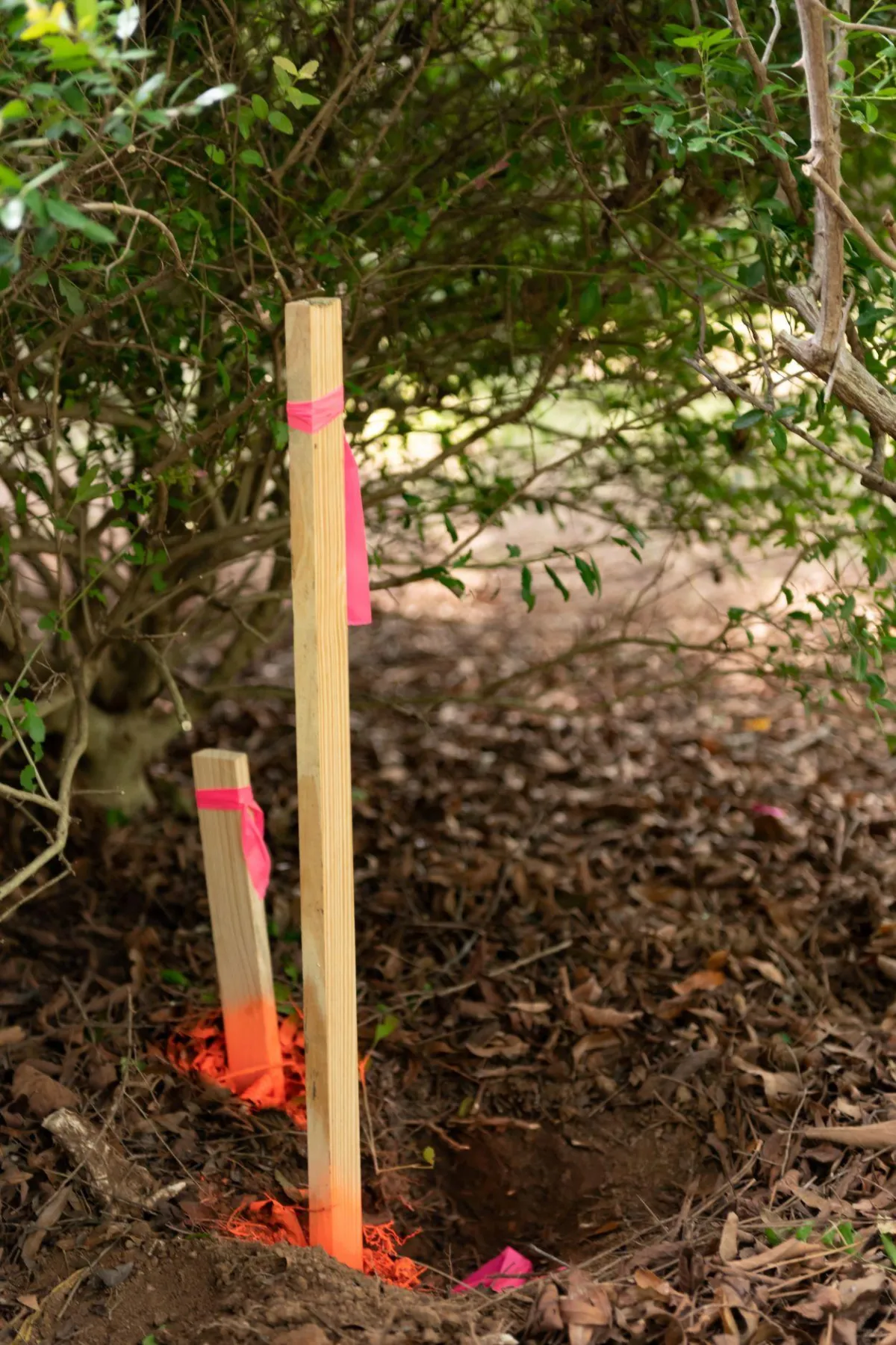 Property Marking