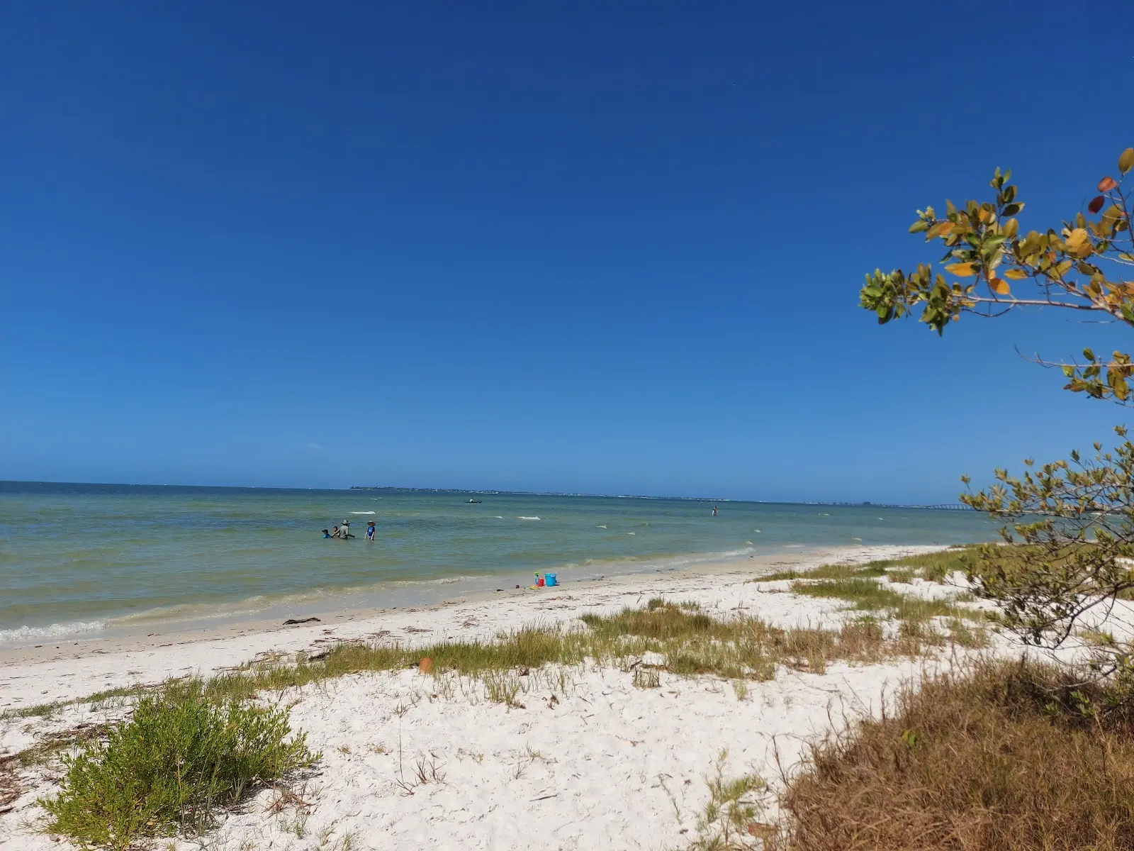 Escape to Paradise at Bunche Beach Preserve in Fort Myers