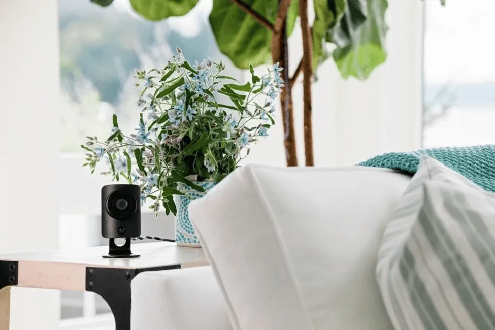 One Way To Lose Your Negotiating Power as a Homebuyer