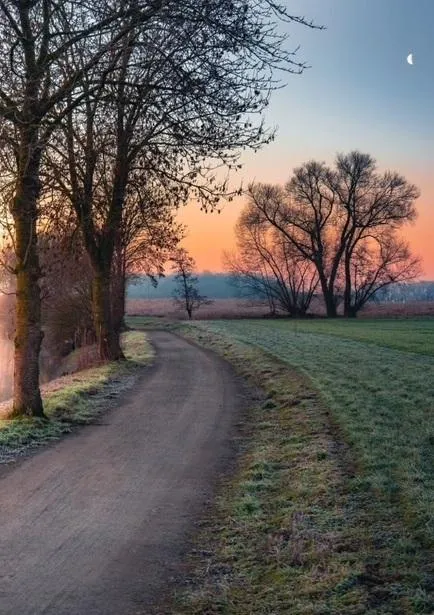 sunrise