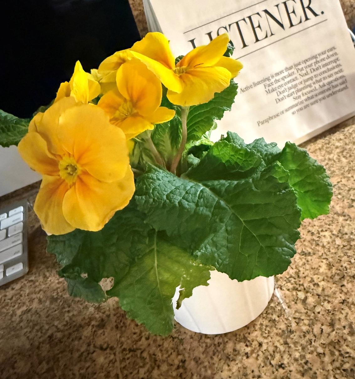 A Small God Wink on an Ordinary Day