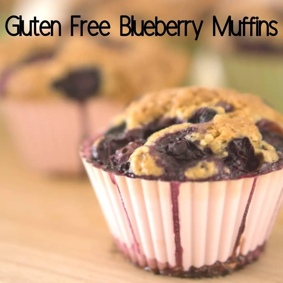 Gluten-Free Blueberry Muffins