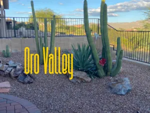 Oro Valley Arizona