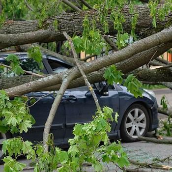 We Complete Insurance Claims