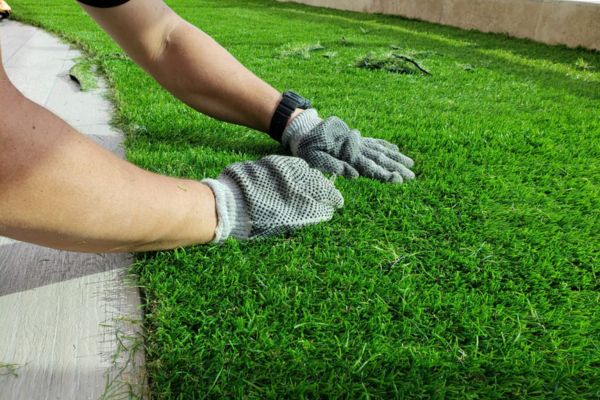 Carlos Mendoza – Instalación de Grama Artificial