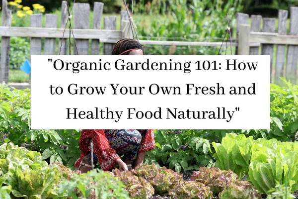 "Organic Gardening 101: How to Grow Your Own Fresh and Healthy Food Naturally"