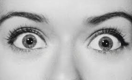 Regulated by Design 1.05