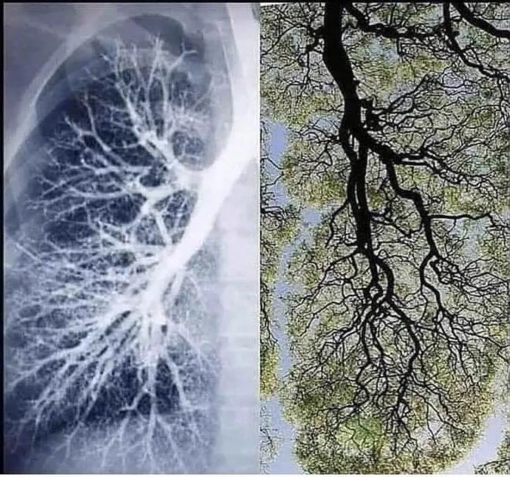 Why Breath Is the Secret Weapon in Performance