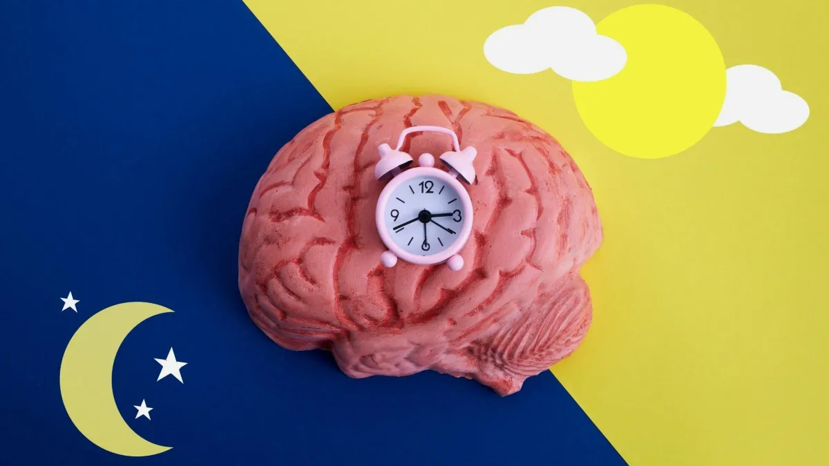 Why Rest and Recovery Are the Fifth Pillar You Can’t Ignore
