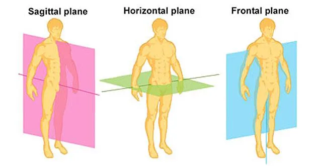 Why Movement Is More Than Exercise: Paul Chek’s Sixth Pillar Explained

