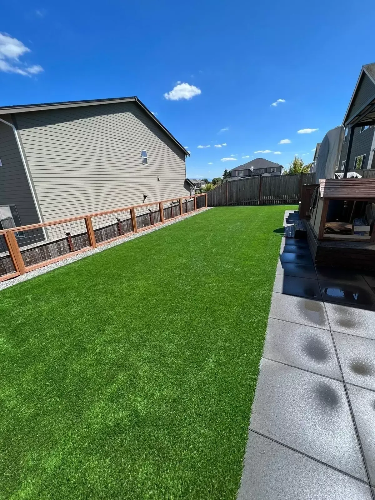 Backyard Turf