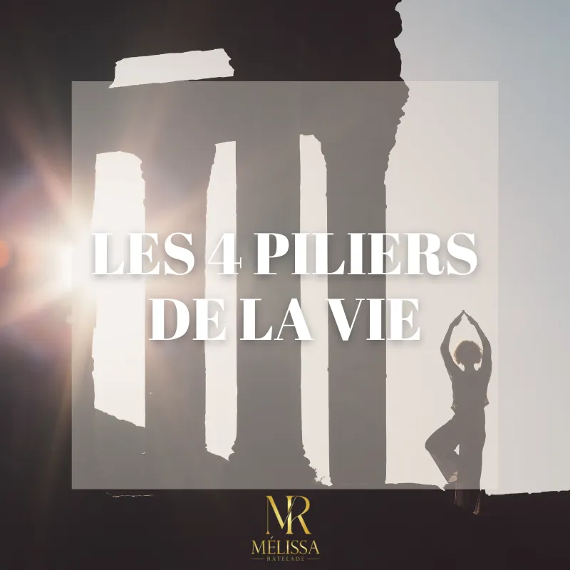 Les 4 piliers de la vie