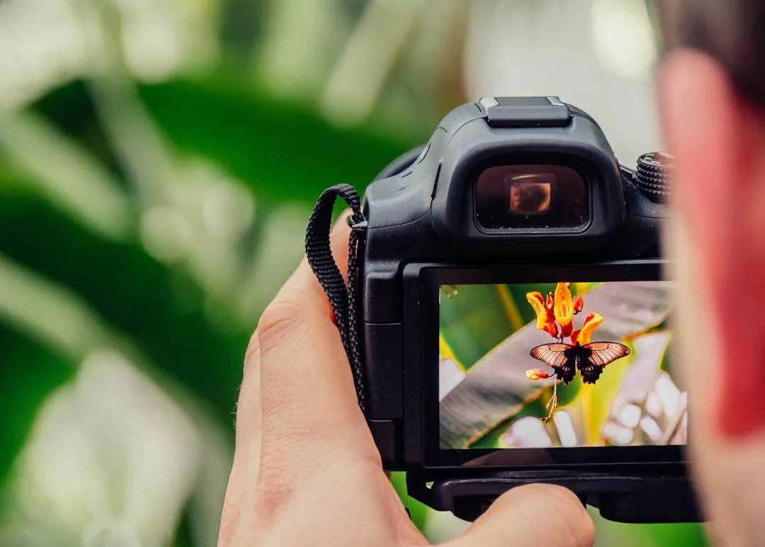 the non-tog revolution