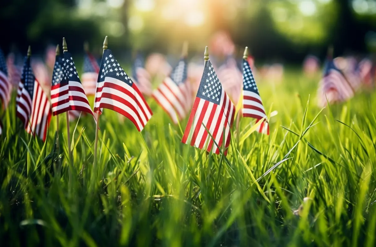 A bunch of American flags standing in grass