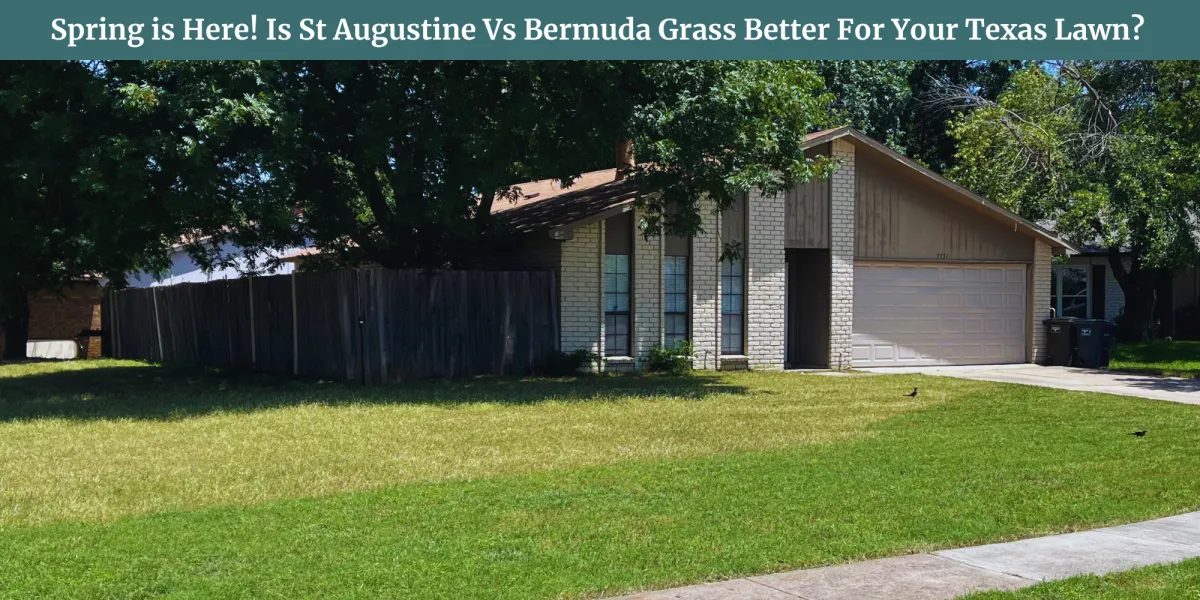 grass types lawn care fort worth