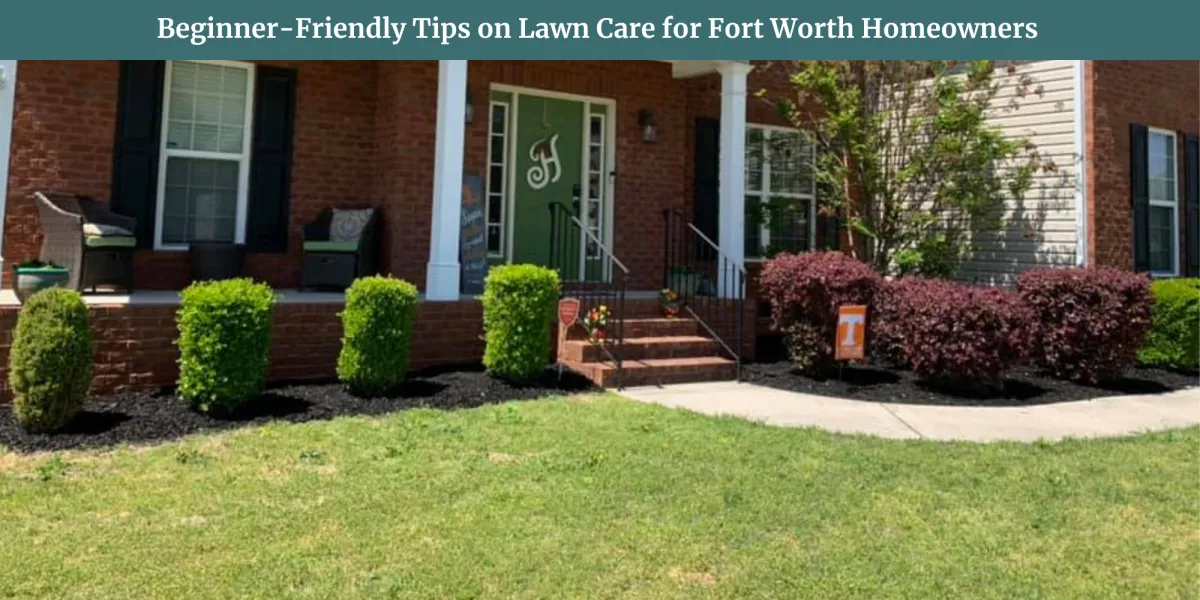 Beginner-Friendly Tips on Lawn Care for Fort Worth Homeowners