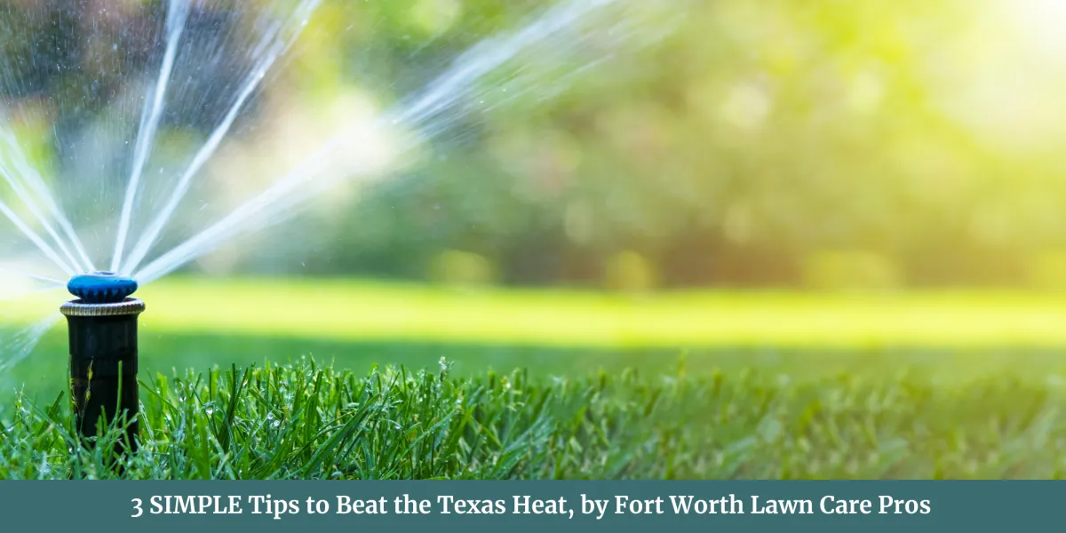 Lawn Care Fort Worth