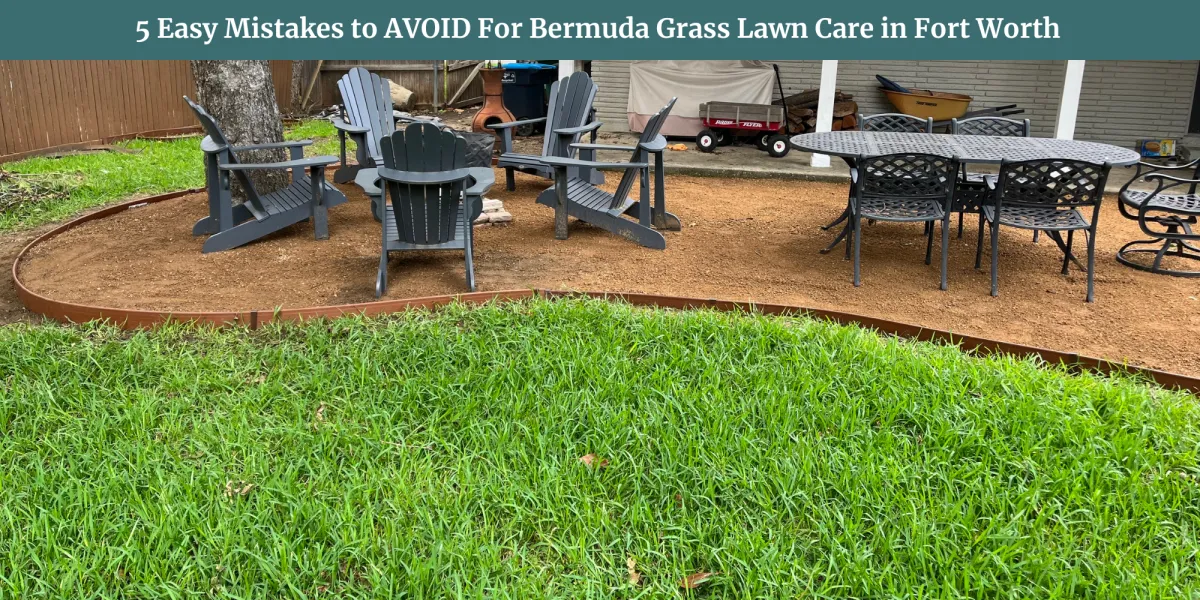5 Easy Mistakes to AVOID For Bermuda Grass Lawn Care in Fort Worth
