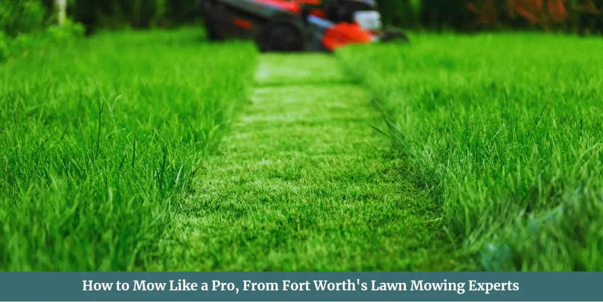 How to Mow Like a Pro | Lawn Mowing Fort Worth
