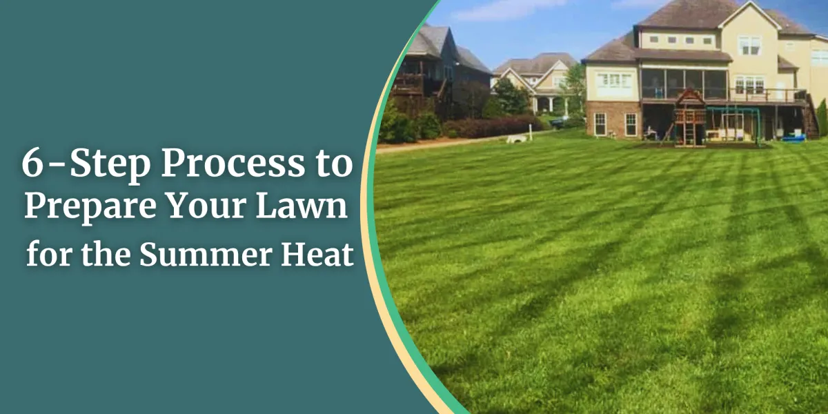 6-Step Process to Prepare Your Lawn for the Summer Heat

