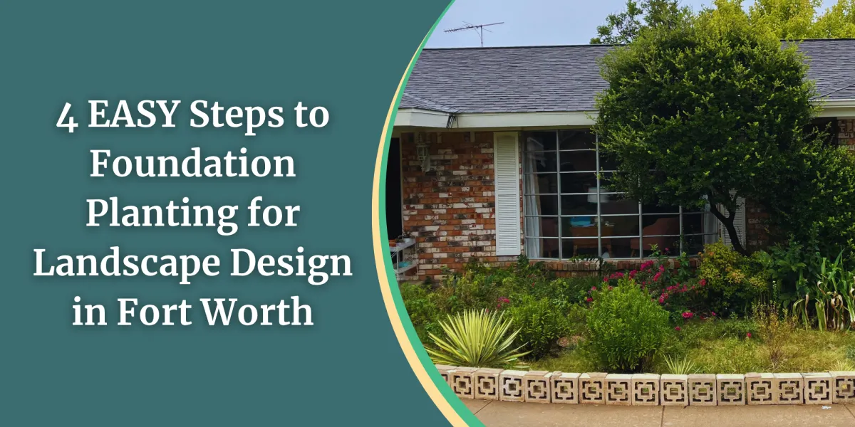 Landscaping Fort Worth | 4 EASY Steps to Foundation Planting for Landscape Design

