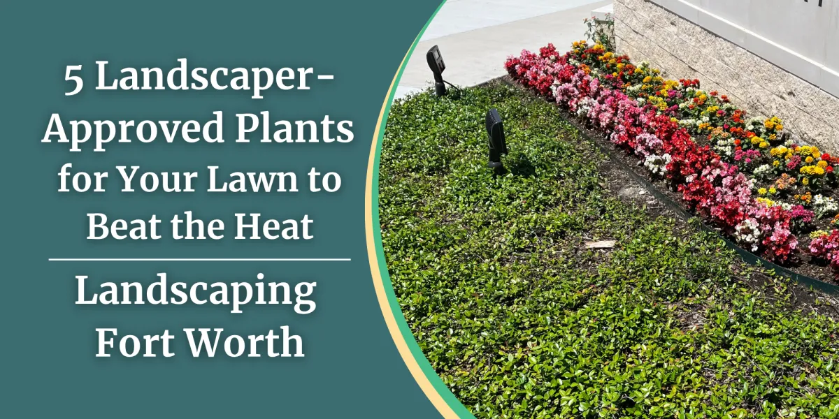 5 Landscaper-Approved Plants for Your Lawn to Beat the Heat
