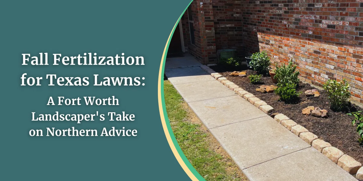 Fall Fertilization for Texas Lawns: A Fort Worth Landscaper's Take on Northern Advice