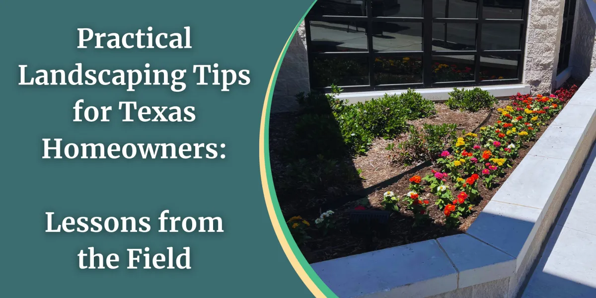Practical Landscaping Tips for Texas Homeowners: Lessons from the Field