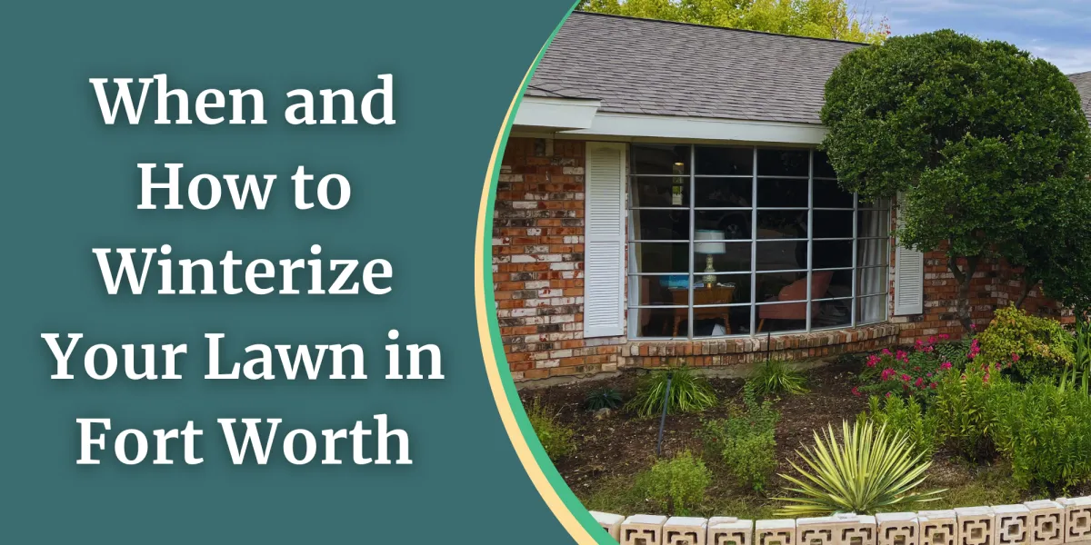 How to Winterize Your Fort Worth Lawn | New Day Landscaping