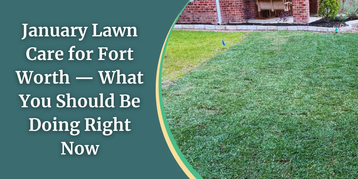 January Lawn Care for Fort Worth — What You Should Be Doing Right Now