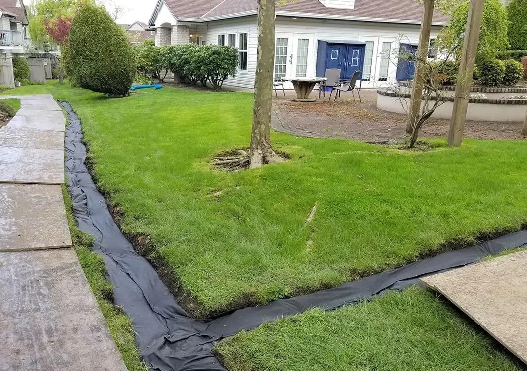 landscape architect do