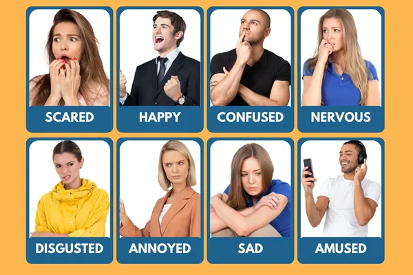 Emotions