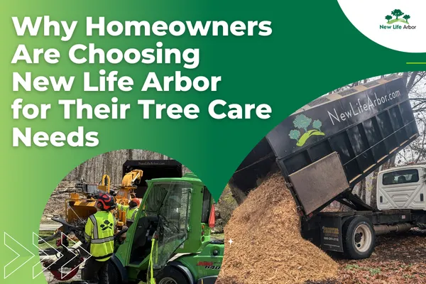 Why Homeowners Are Choosing New Life Arbor for Their Tree Care Needs