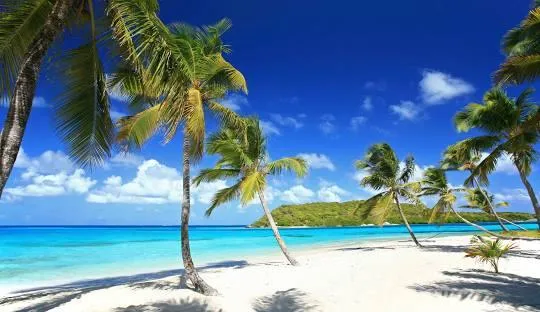 Small Business Startup: What Marketing Really Costs — What We’re Seeing