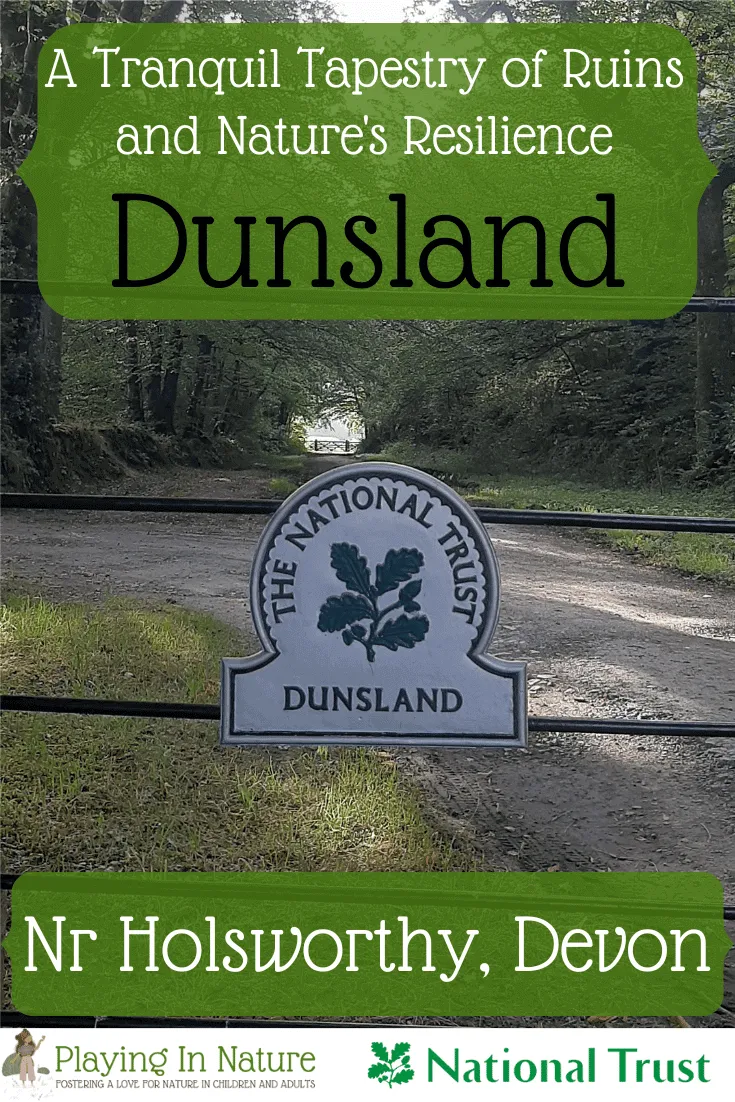 Dunsland: A Tranquil Tapestry of Ruins and Nature's Resilience
