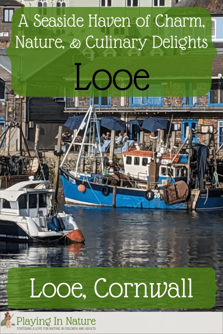 Looe: A Seaside Haven of Charm, Nature, and Culinary Delights